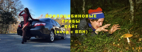 мяу мяу мука Алексин