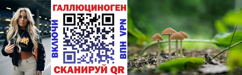Псилоцибиновые грибы MAGIC MUSHROOMS Бабушкин