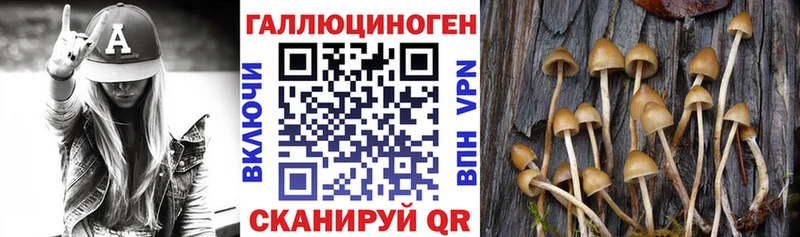 даркнет как зайти mega как зайти Бабушкин Галлюциногенные грибы Psilocybine cubensis