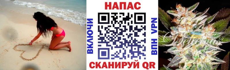 наркота  Бабушкин  Бошки Шишки план 